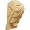 Ekena Millwork 1 3/4"W x 1 1/2"D x 3"H Mini Acanthus Leaf Block Corbel, Alder CORW01X01X03BAAL - alternate 1
